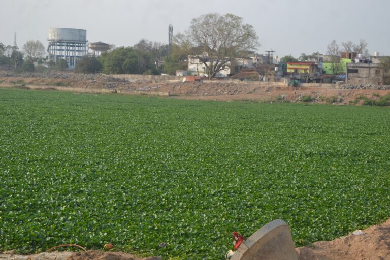 IMG-20260323-WA0588(1)