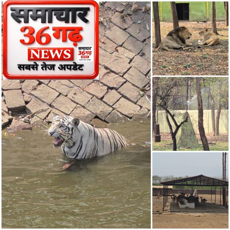 IMG-20260405-WA0288(1)